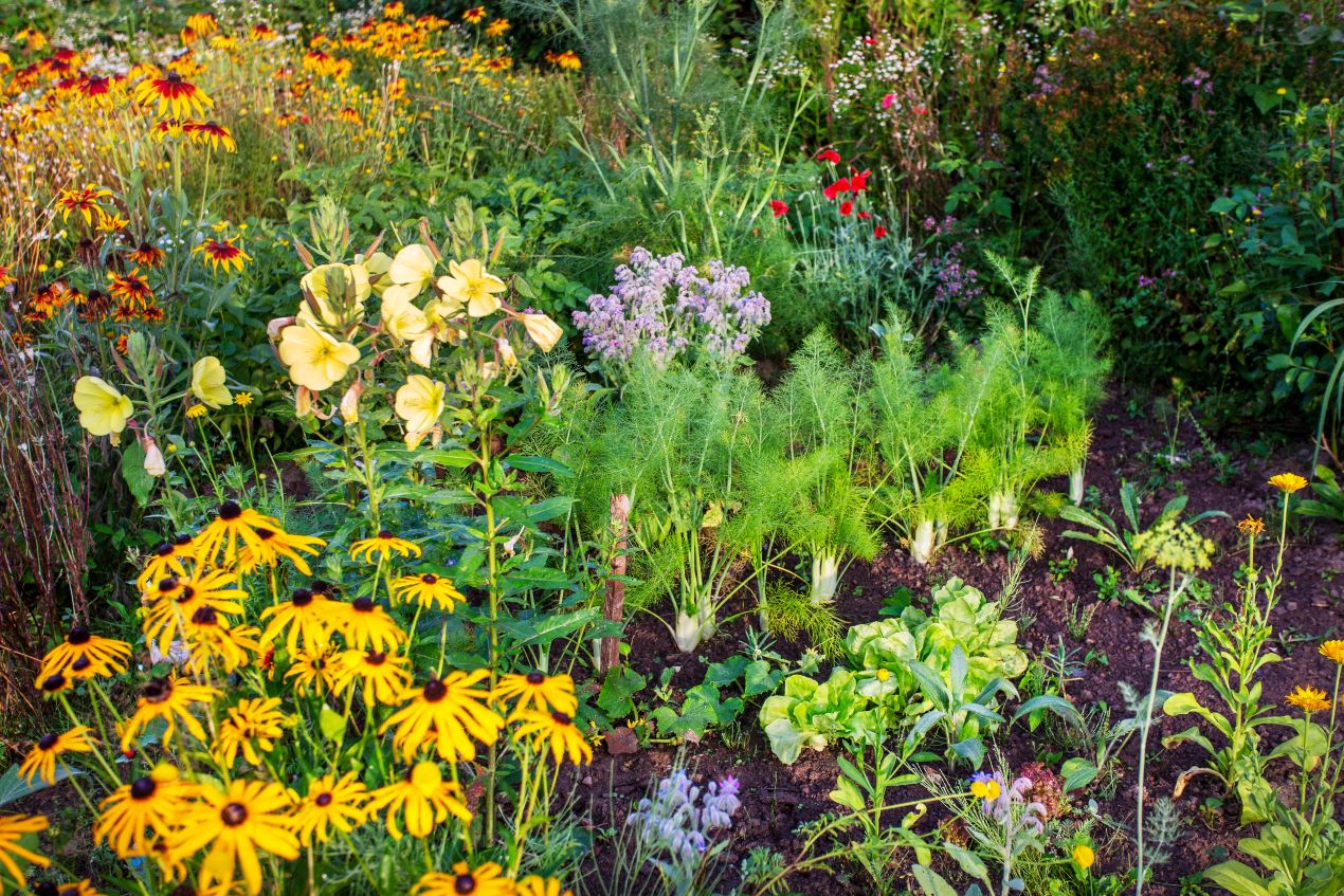 Ein blühender Garten mit Gemüsebeeten und Blumen, vorbereitet mit einer Bodenfräse für optimale Bodenqualität.