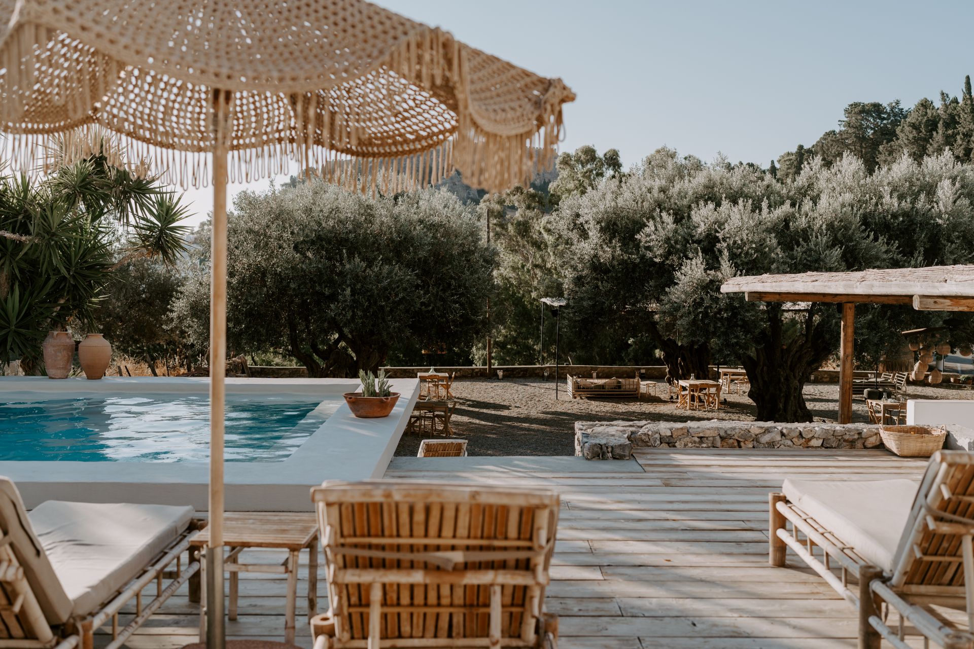 terrasse mit naturmaterialien und pool oval im mediterranen garten mit olivenbaeumen